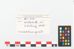 Foto von Knochengerät (NHMW-PRAE-085714)